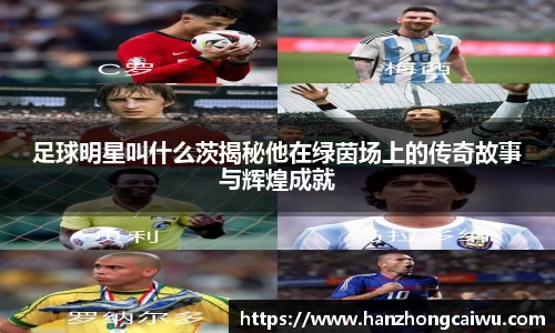 足球明星叫什么茨揭秘他在绿茵场上的传奇故事与辉煌成就
